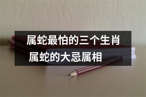 属蛇怕的三个生肖属蛇的大忌属相