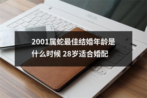 <h3>2001属蛇佳结婚年龄是什么时候28岁适合婚配