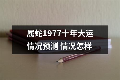 属蛇1977十年大运情况预测情况怎样