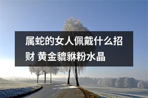 <h3>属蛇的女人佩戴什么招财黄金貔貅粉水晶