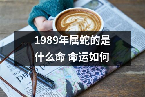 1989年属蛇的是什么命命运如何