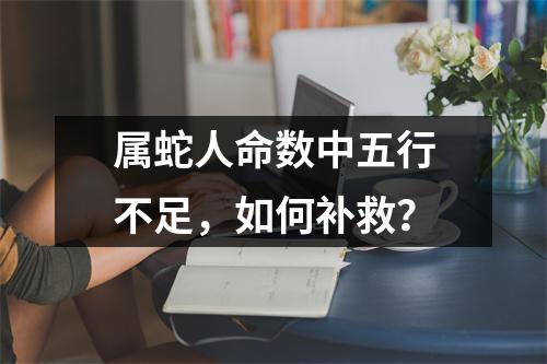 <h3>属蛇人命数中五行不足，如何补救？