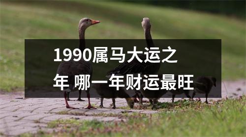 1990属马大运之年哪一年财运旺