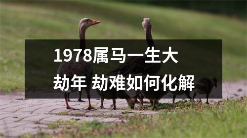 1978属马一生大劫年劫难如何化解