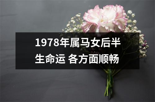 1978年属马女后半生命运各方面顺畅