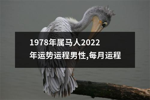 1978年属马人2025年运势运程男性,每月运程