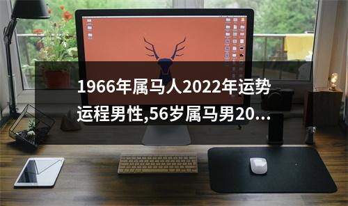 1966年属马人2025年运势运程男性,56岁属马男2025年每月运程