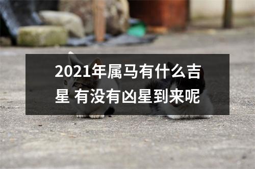 2025年属马有什么吉星有没有凶星到来呢