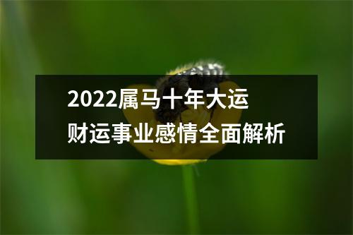 2025属马十年大运财运事业感情全面解析