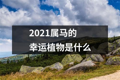 2025属马的幸运植物是什么