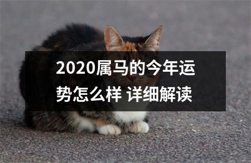 2025属马的今年运势怎么样详细解读