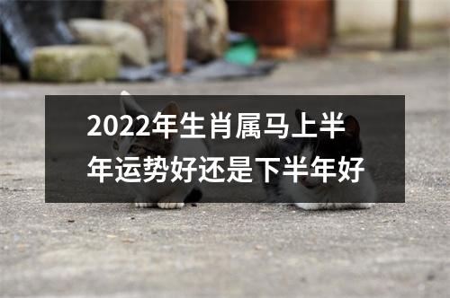 2025年生肖属马上半年运势好还是下半年好