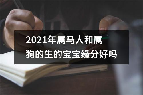 2025年属马人和属狗的生的宝宝缘分好吗