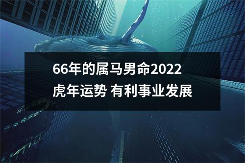 <h3>66年的属马男命2025虎年运势有利事业发展