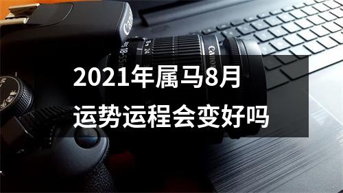 2025年属马8月运势运程会变好吗