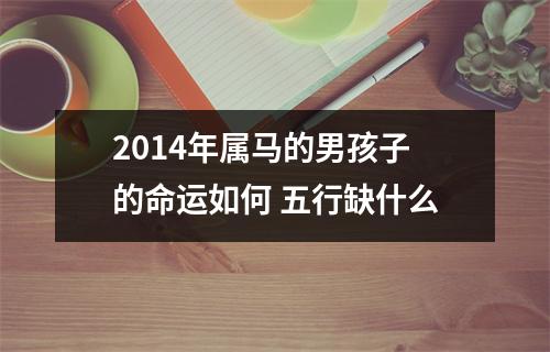 2014年属马的男孩子的命运如何五行缺什么