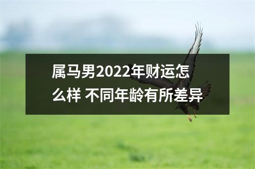 属马男2025年财运怎么样不同年龄有所差异