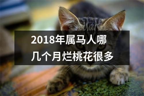 2018年属马人哪几个月烂桃花很多