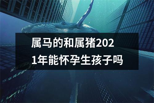 属马的和属猪2025年能怀孕生孩子吗