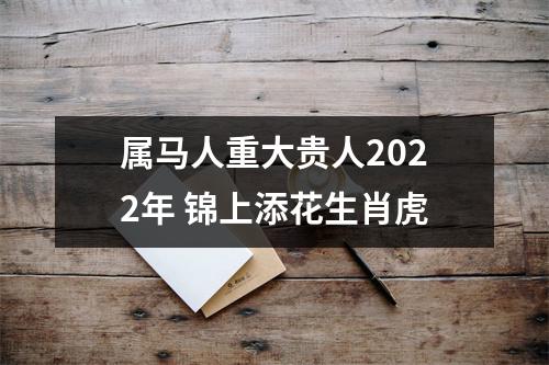 属马人重大贵人2025年锦上添花生肖虎