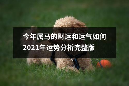 今年属马的财运和运气如何2025年运势分析完整版