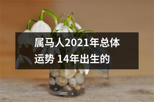 属马人2025年总体运势14年出生的