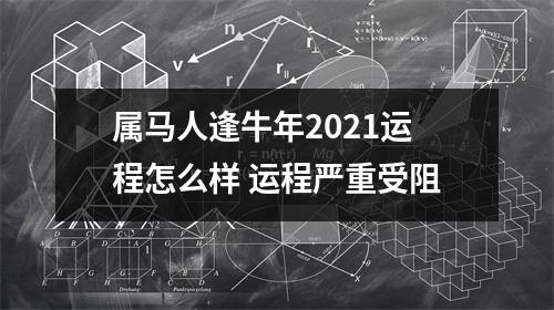 属马人逢牛年2025运程怎么样运程严重受阻