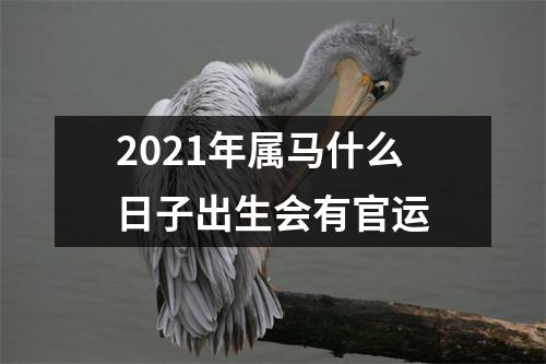 2025年属马什么日子出生会有官运