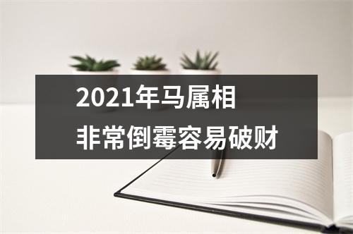 2025年马属相非常倒霉容易破财