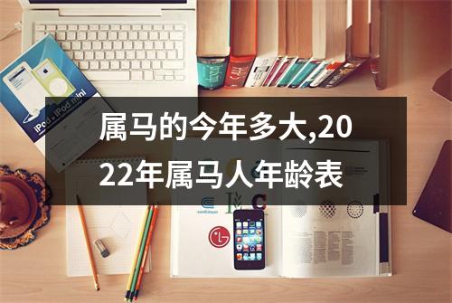 属马的今年多大,2025年属马人年龄表