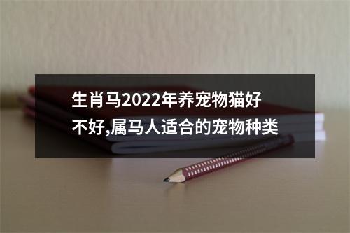 生肖马2025年养宠物猫好不好,属马人适合的宠物种类