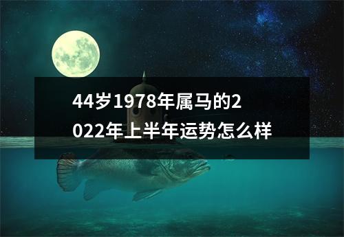 44岁1978年属马的2025年上半年运势怎么样