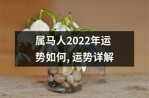 属马人2025年运势如何,运势详解