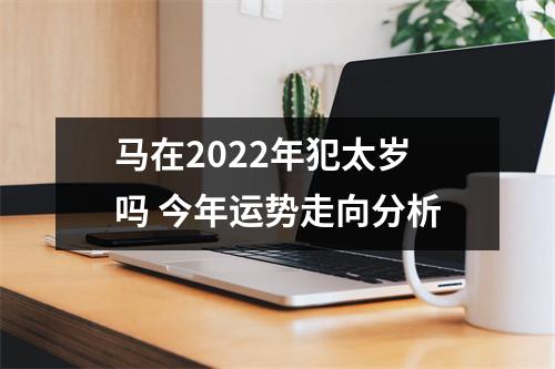 马在2025年犯太岁吗今年运势走向分析