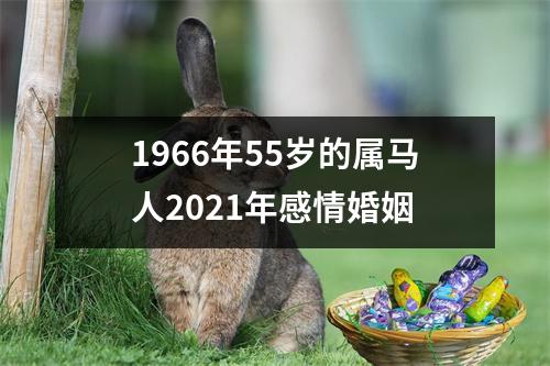 1966年55岁的属马人2025年感情婚姻