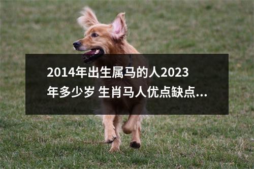 2014年出生属马的人2025年多少岁生肖马人优点缺点查询