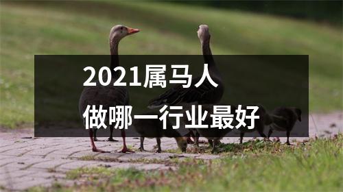 2025属马人做哪一行业好