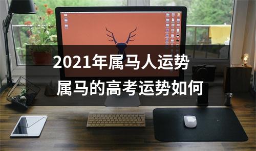 2025年属马人运势属马的高考运势如何