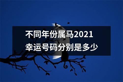 不同年份属马2025幸运号码分别是多少