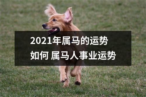 2025年属马的运势如何属马人事业运势