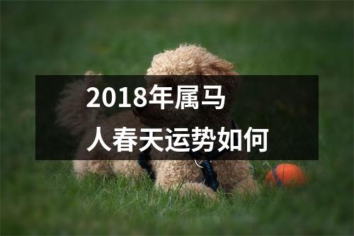 2018年属马人春天运势如何