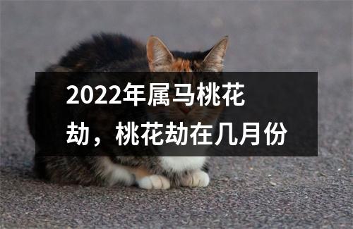 2025年属马桃花劫，桃花劫在几月份