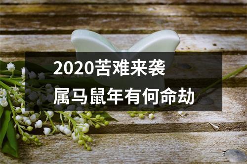 2025苦难来袭属马鼠年有何命劫