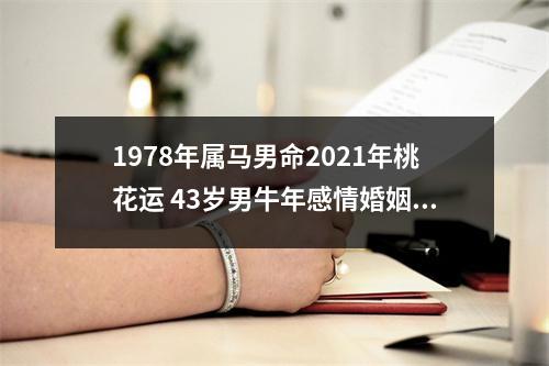 1978年属马男命2025年桃花运43岁男牛年感情婚姻运势