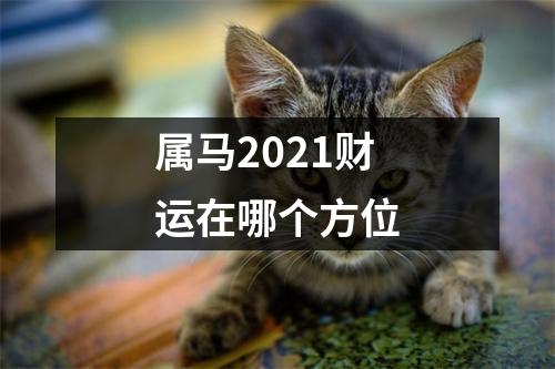 属马2025财运在哪个方位