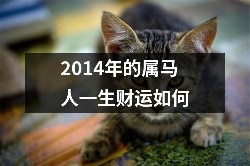 2014年的属马人一生财运如何