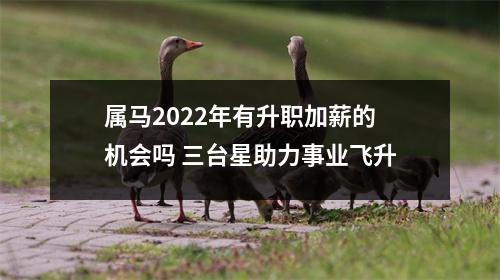 属马2025年有升职加薪的机会吗三台星助力事业飞升