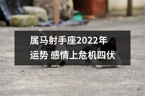 属马射手座2025年运势感情上危机四伏