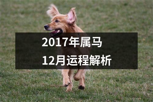 <h3>2017年属马12月运程解析