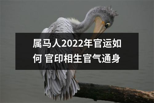 属马人2025年官运如何官印相生官气通身